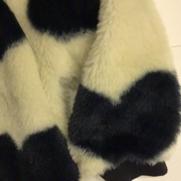 Splendid - Picture 4 of 4